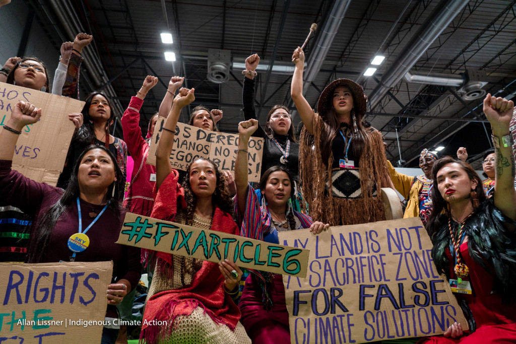 cop25-39_49229678253_o