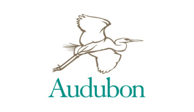 National Audubon Society – 2015 Gala Awards